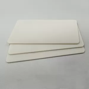 Aluminum nitride ceramic insulating backing plate